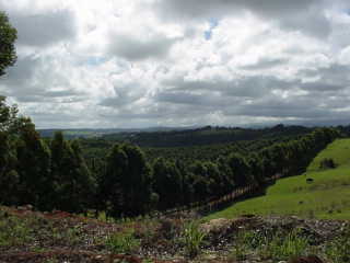 La campagna Australiana