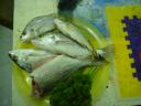I pesci pescati e mangiati