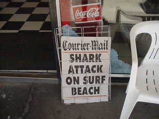 Shark Attack!