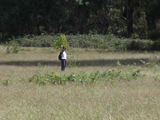 Shizu nel bosco australiano