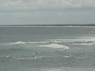 Surf