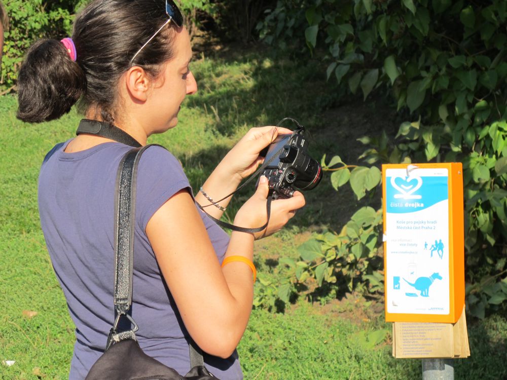 michelle fotografa cani che fanno la cacca