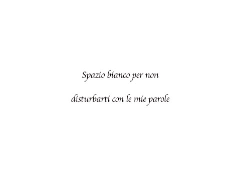 spazio-bianco-per-non-disturbati-con-le-mie-parole