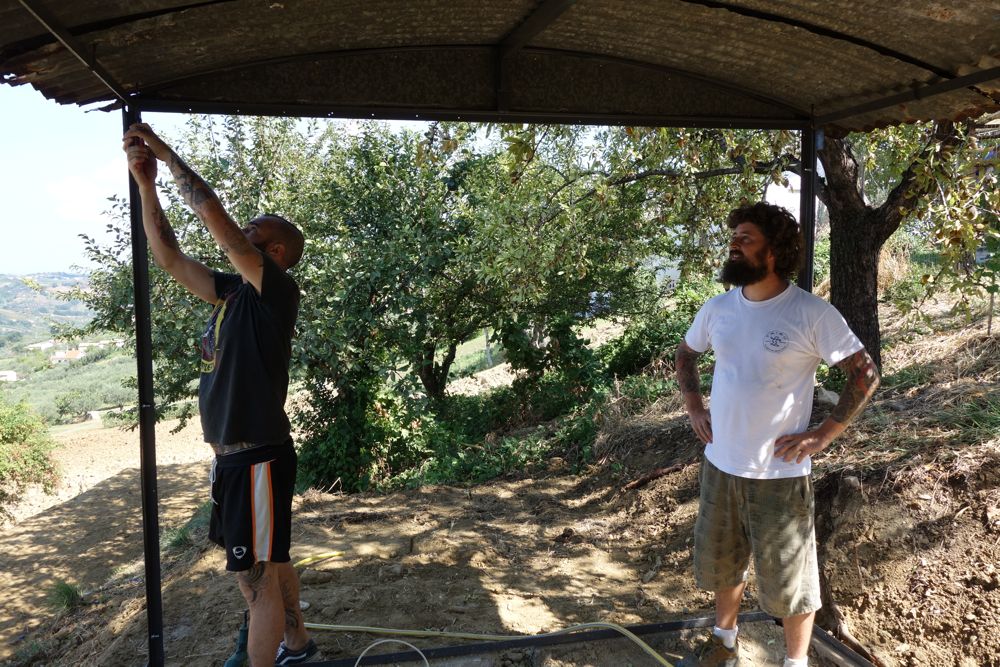 costruendo il pollaio per il trattore